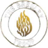 The Breslev Troop